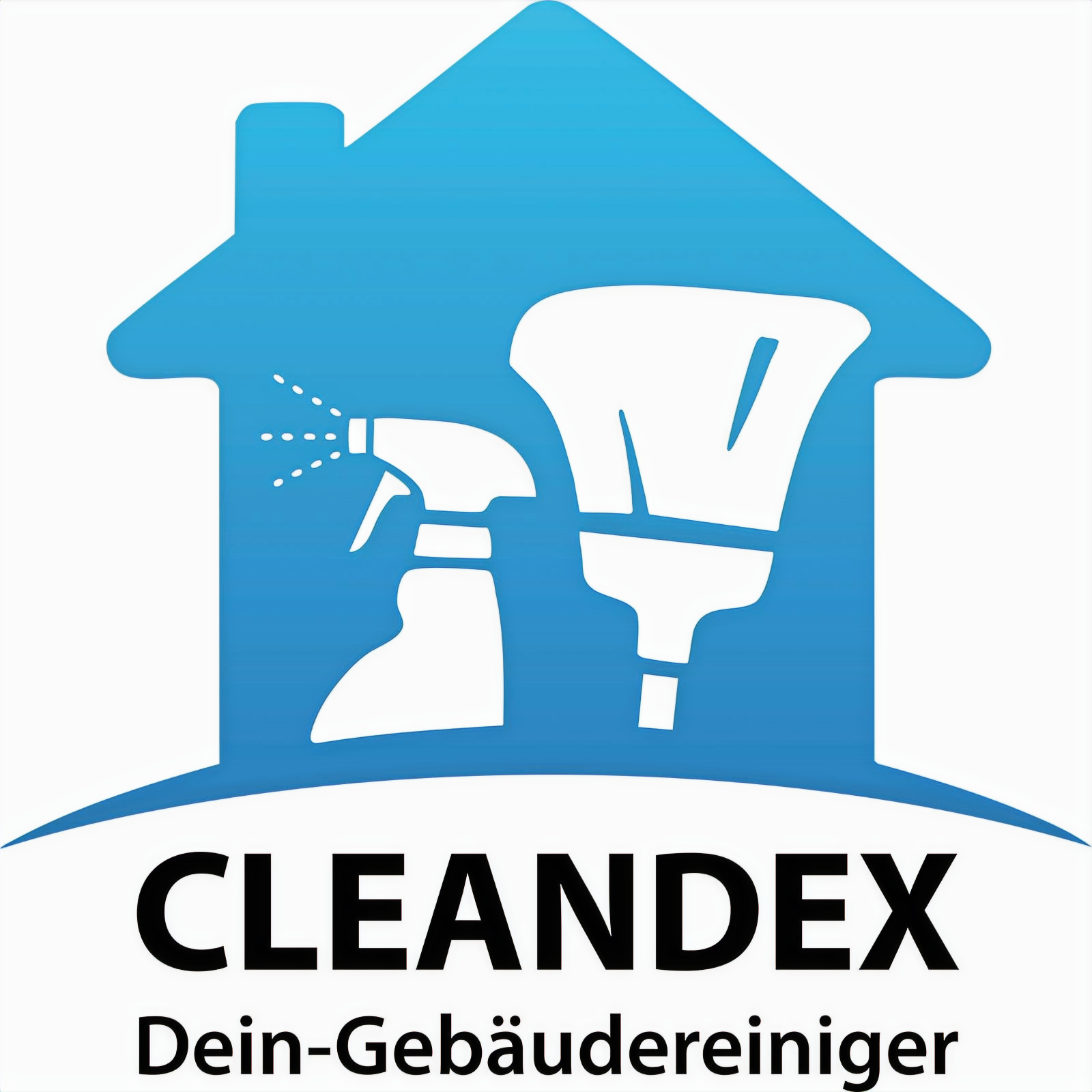 Cleandex Logo
